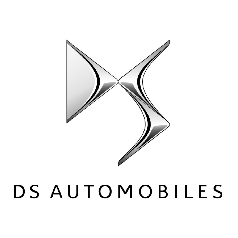 logo_ds